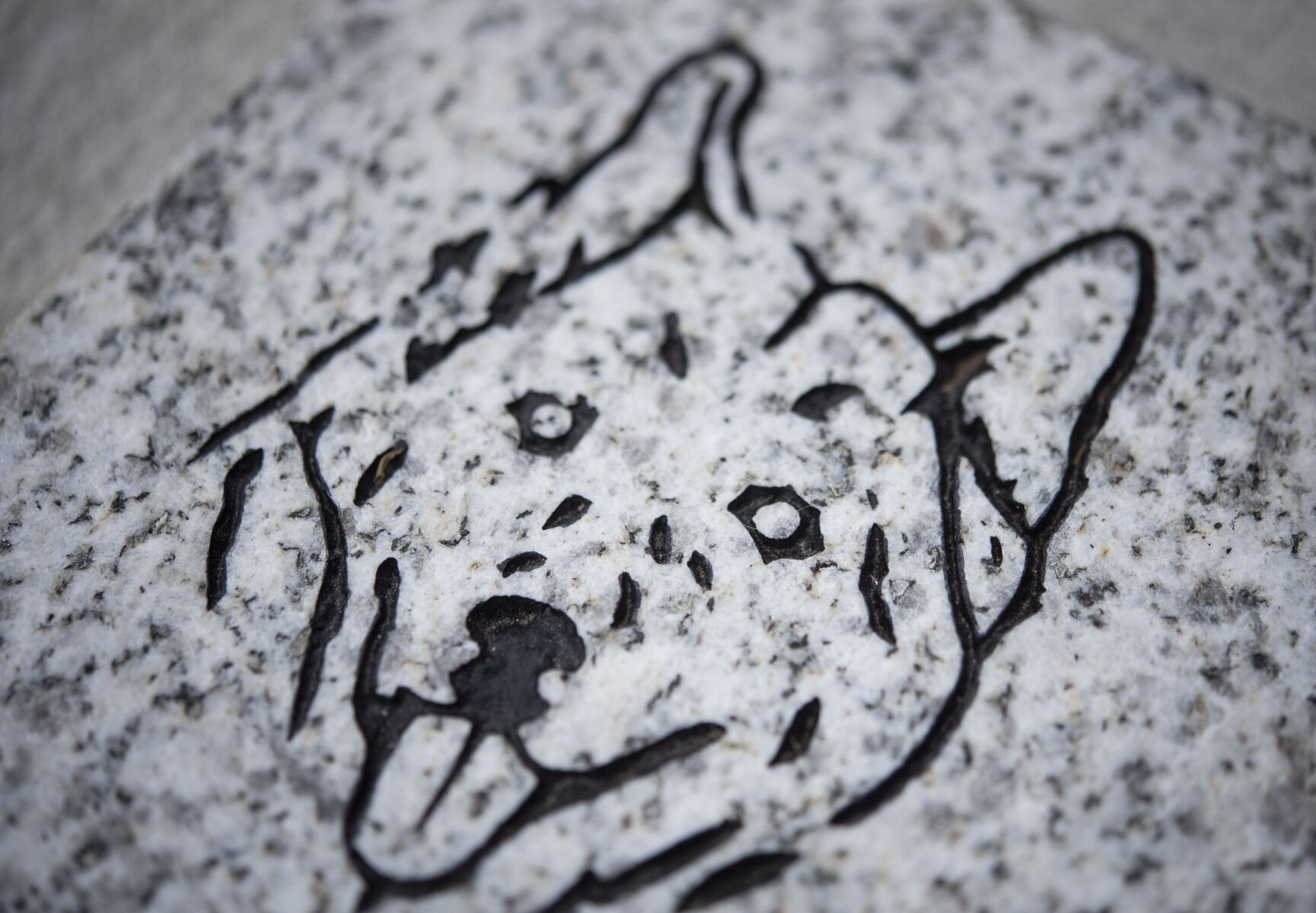 Mount Airy Rotary Pup Memorial Garden